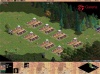 Xin qun